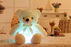 Urso de Pelúcia ( LED )